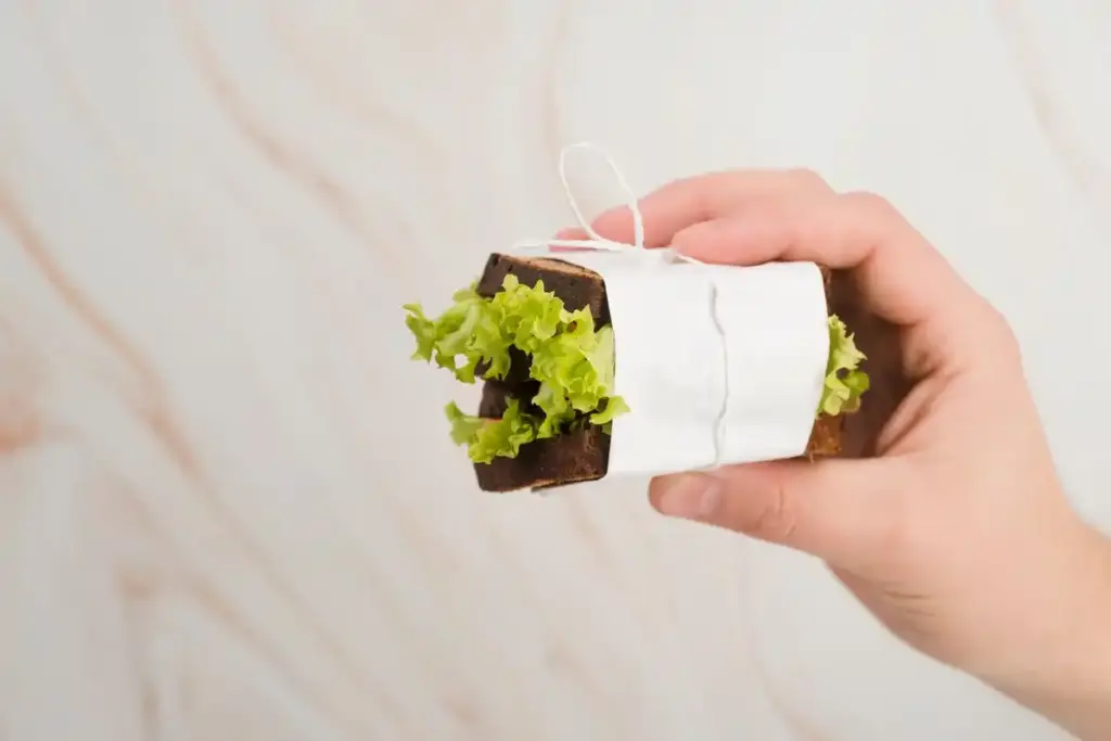 paper towel seed germination method netherlands
