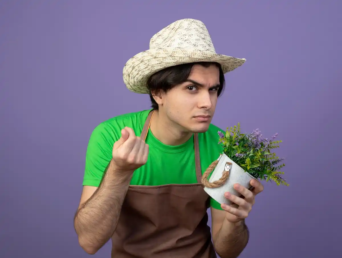 dutch gardener using paper towel method for seed germination