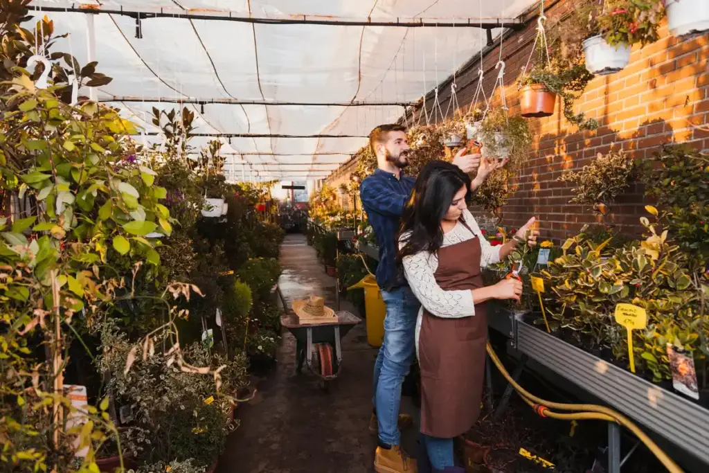 cheap diy greenhouse in dutch backyard