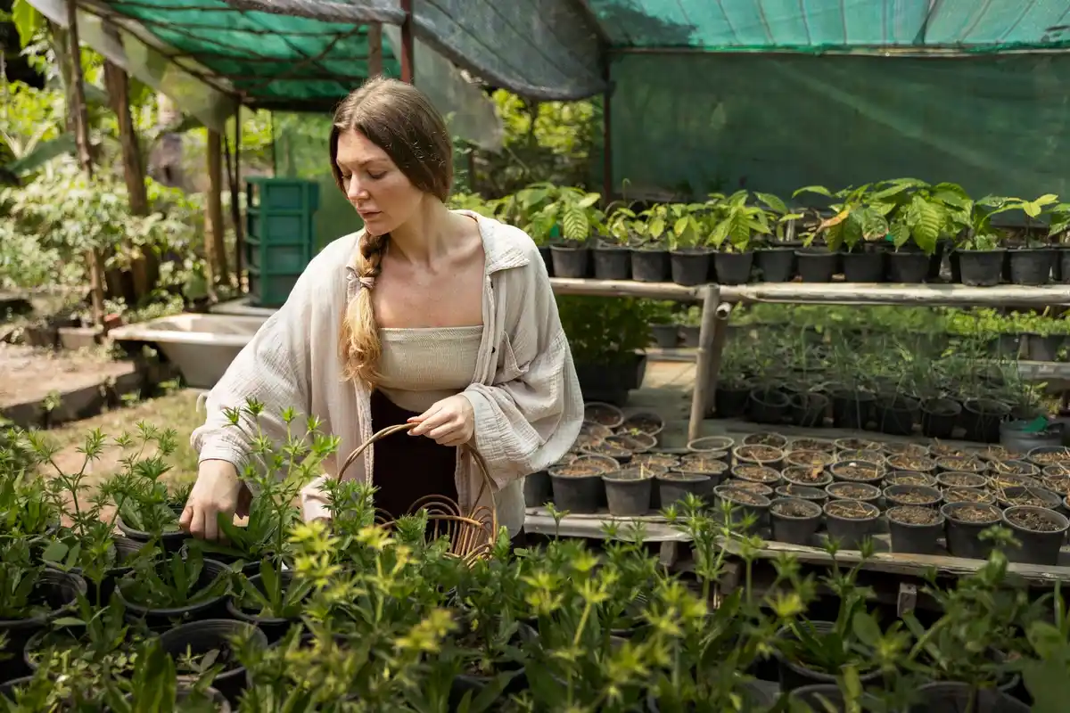 dutch gardener planting heritage seeds in greenhouse