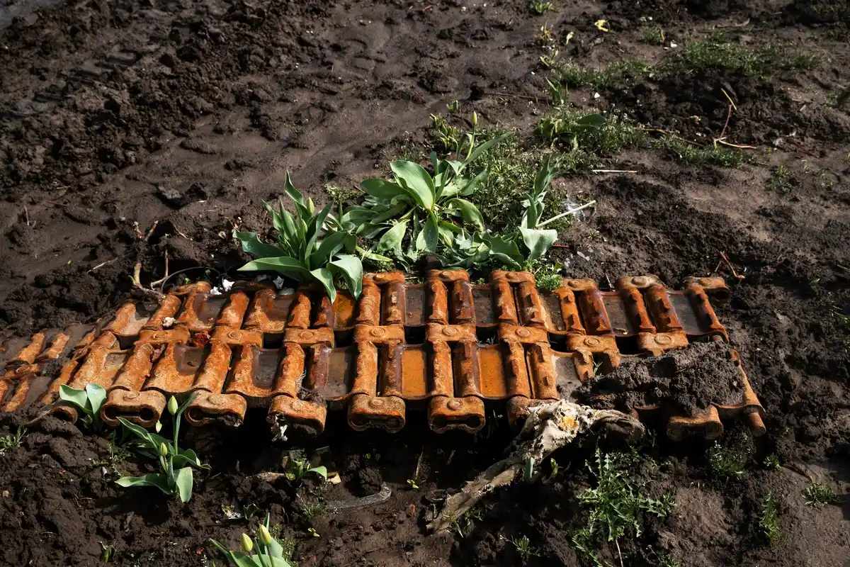 dutch garden fertilizer soil damage