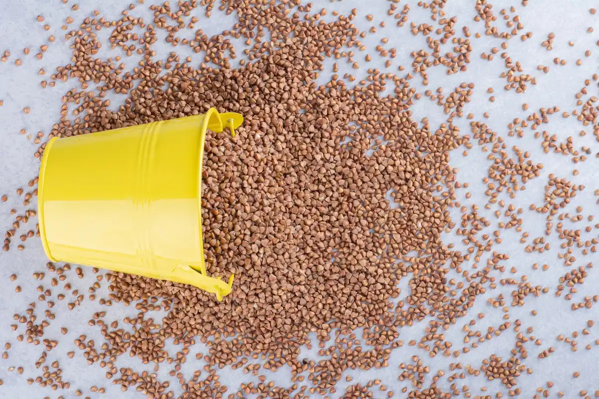 granular synthetic fertilizer closeup dutch garden