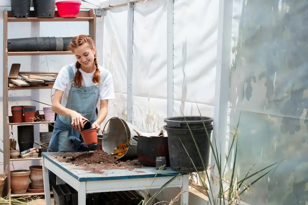 DIY upcycled window greenhouse with plants