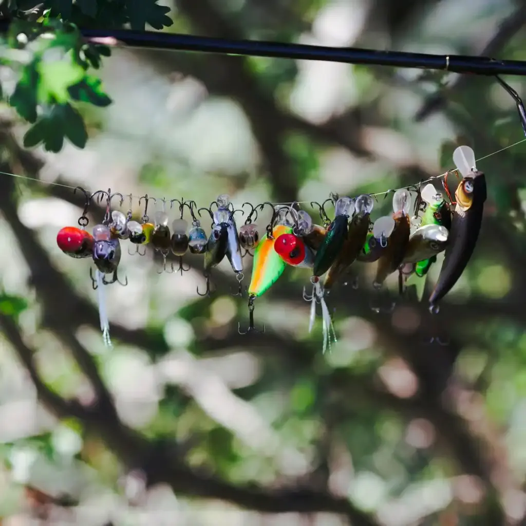 cherry tree bird protection net dutch garden summer sunny
