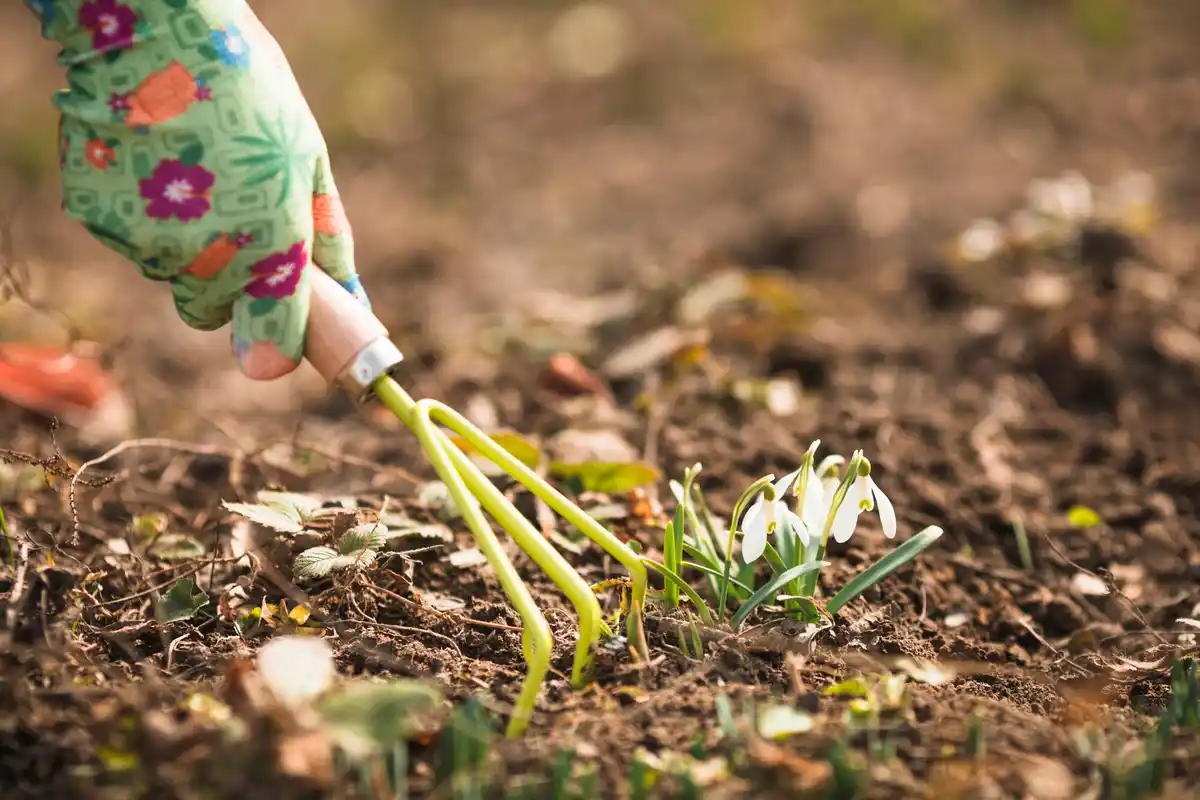 organic fertilizer in Dutch garden
