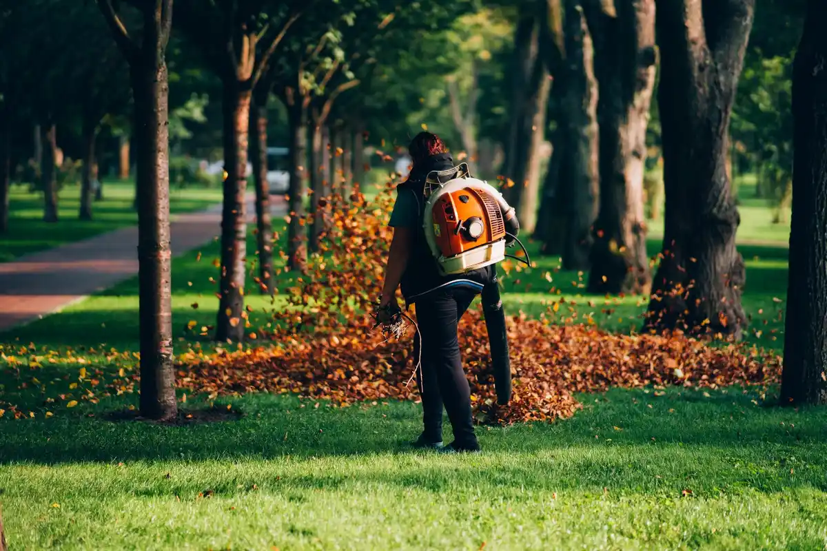 gardener spreading compost on Dutch backyard