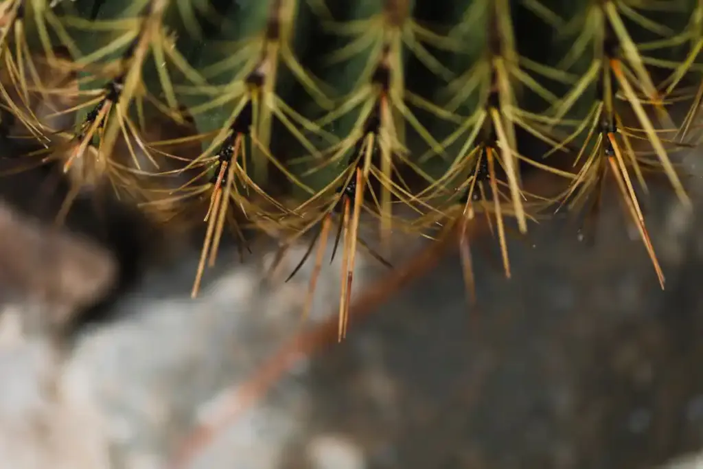 coffee grounds toxic for plants closeup
