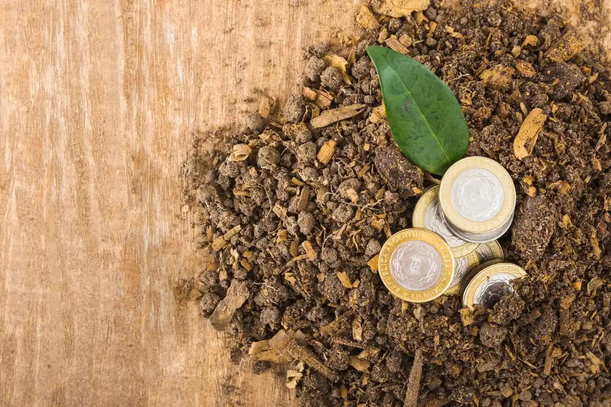 manure vs chemical fertilizer garden netherlands comparison
