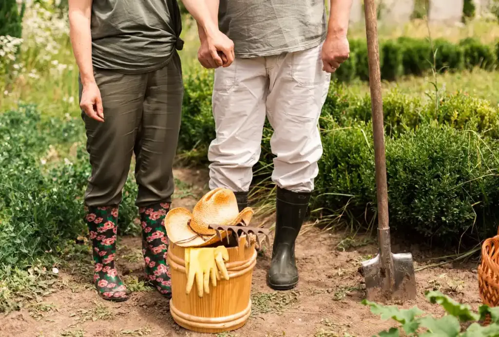 traditional dutch gardener digging with spade spring allotment