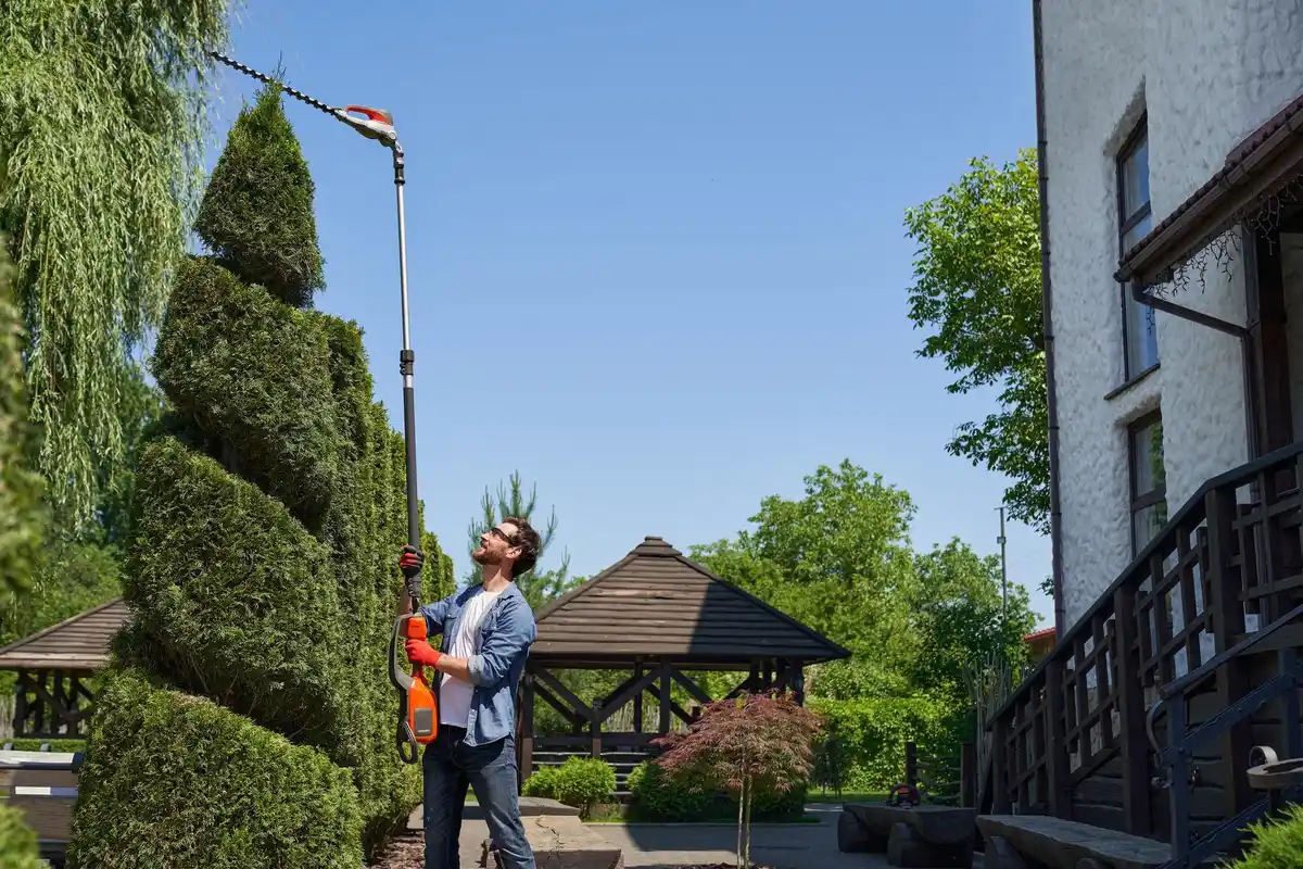 dutch gardener using electric tiller in urban backyard
