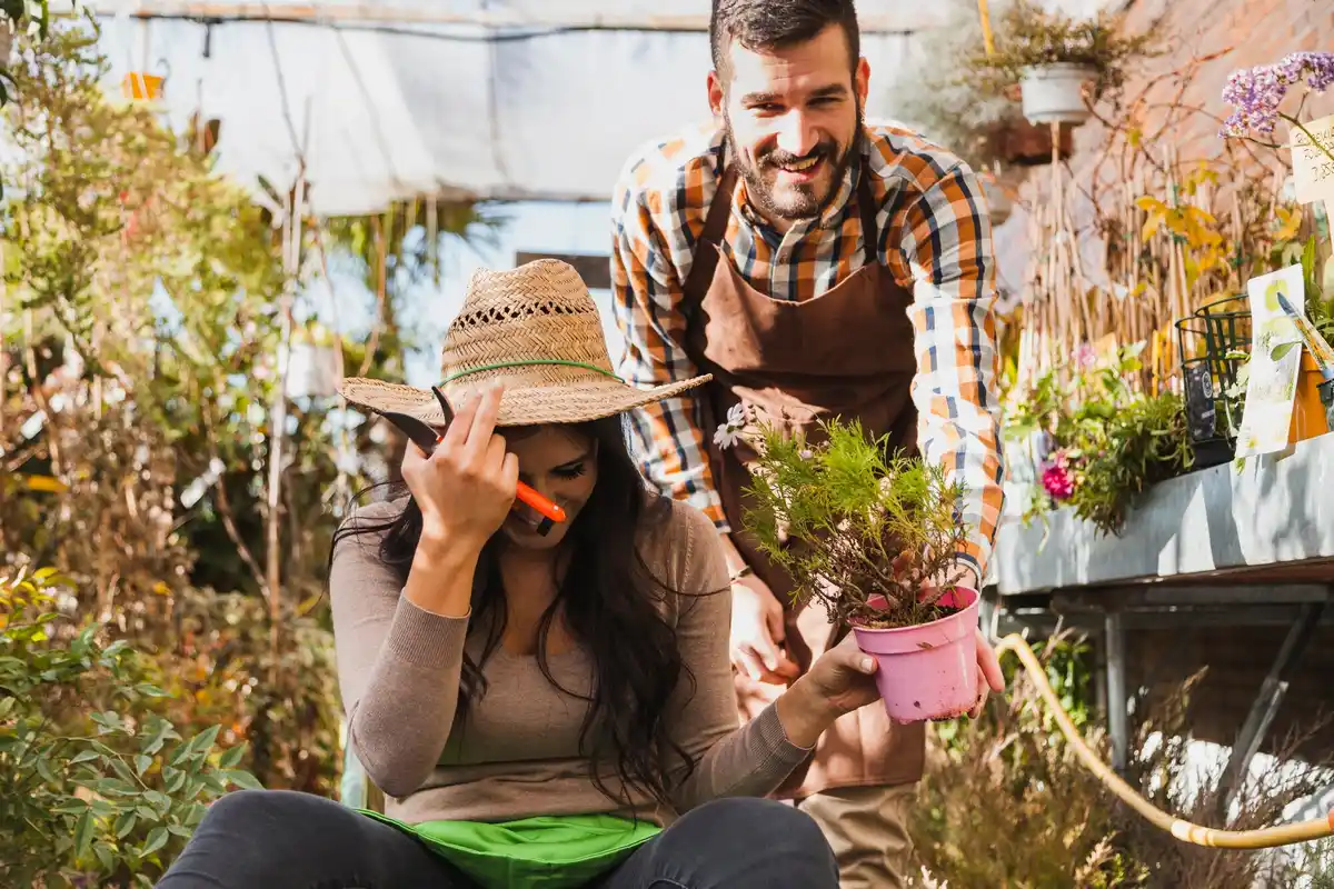 community garden tool sharing netherlands