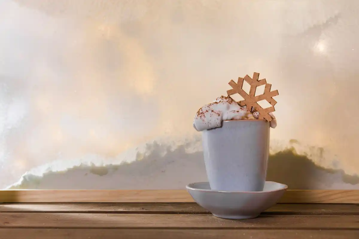 homemade seed starter coffee filter Dutch windowsill