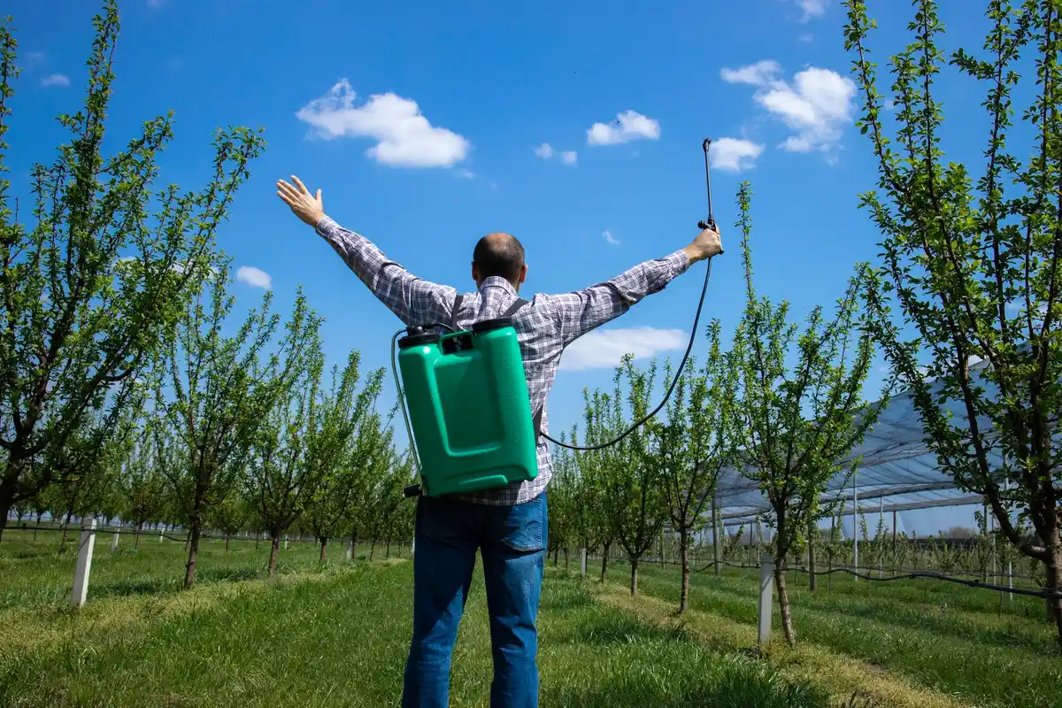 fruit orchard with natural fertilizer method
