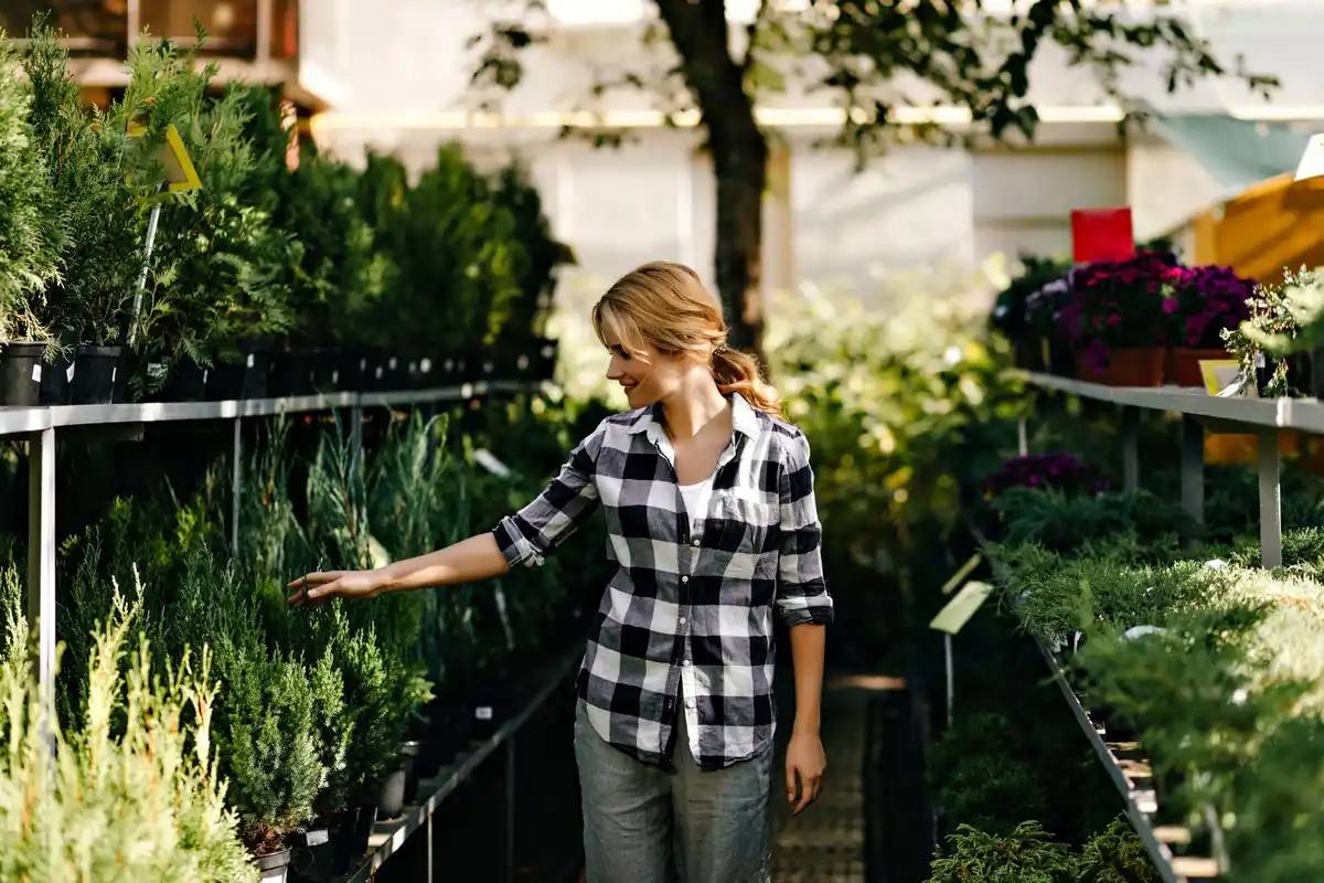 dutch small urban balcony garden spinach