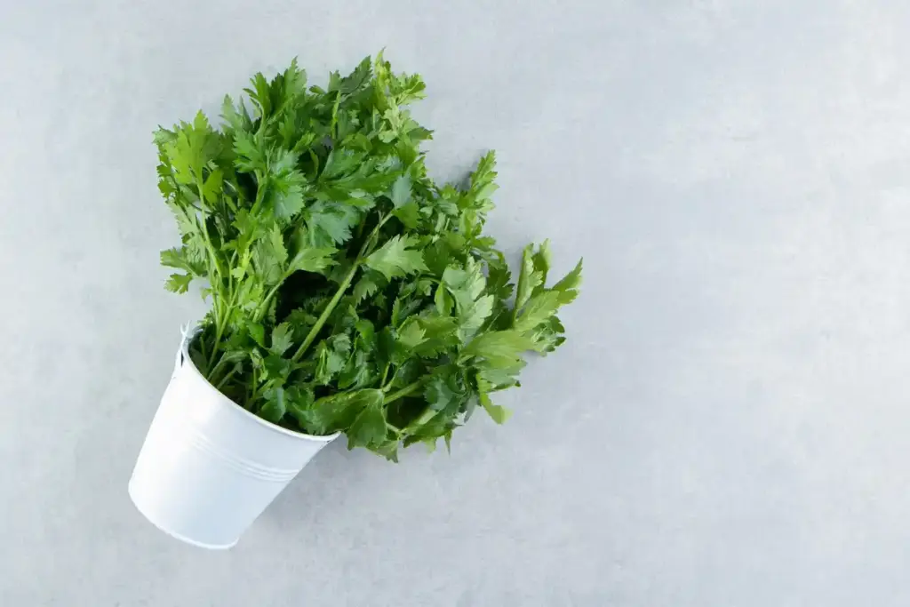 parsley plant on Dutch windowsill