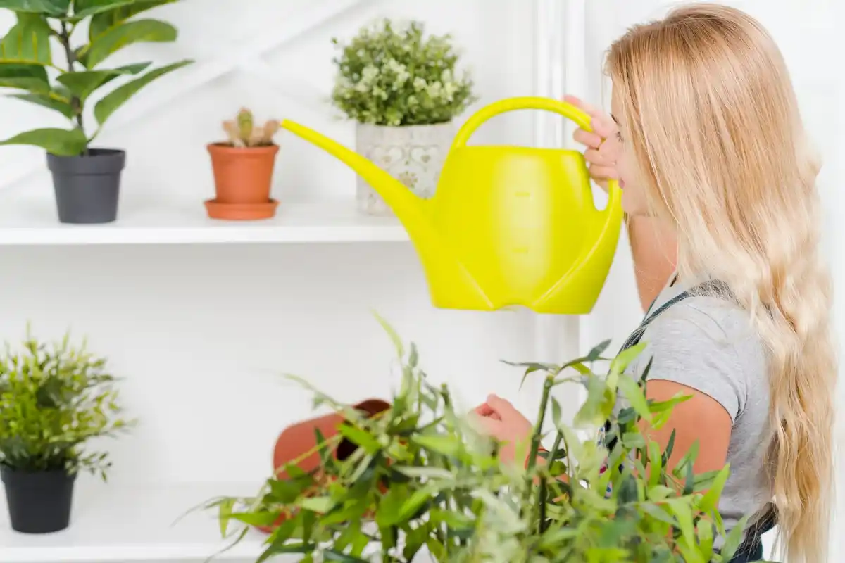 watering herbs in window kitchen Netherlands