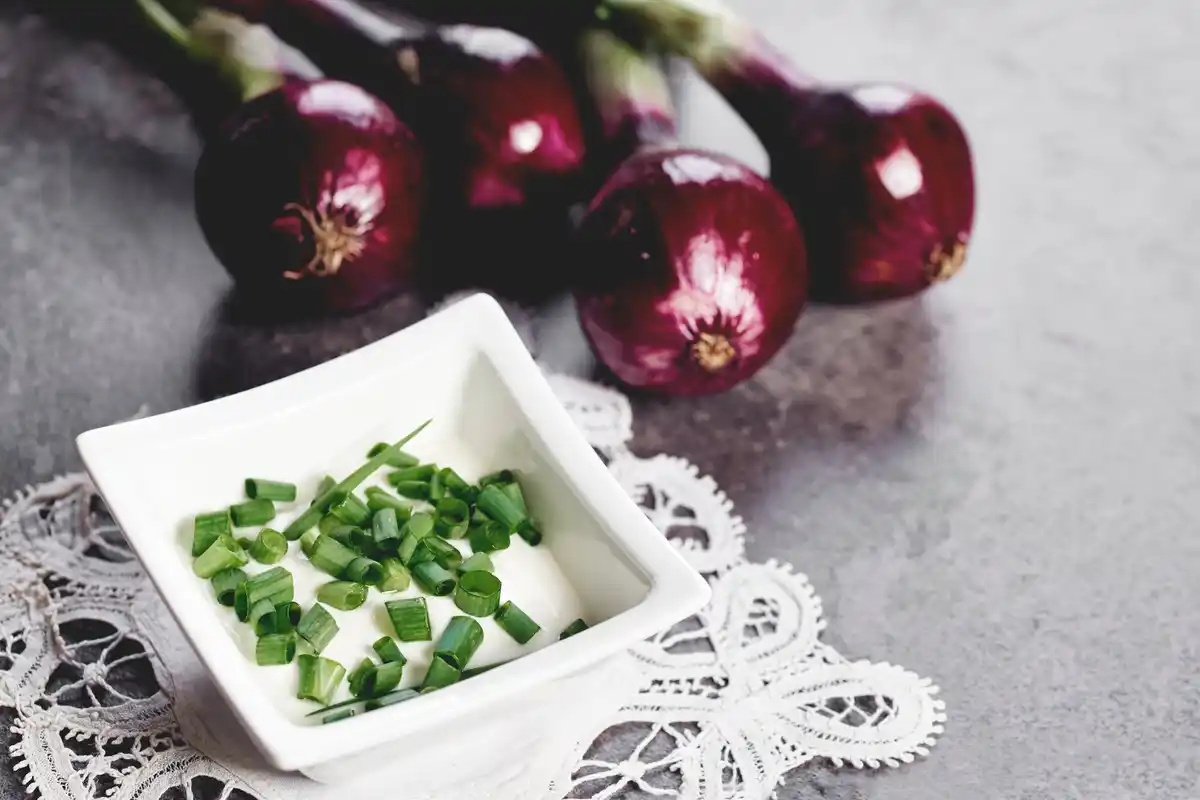 pre-germinated onion planting Dutch windowsill home garden