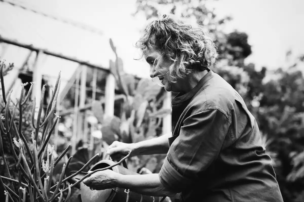 planting garlic cloves in Dutch garden in February