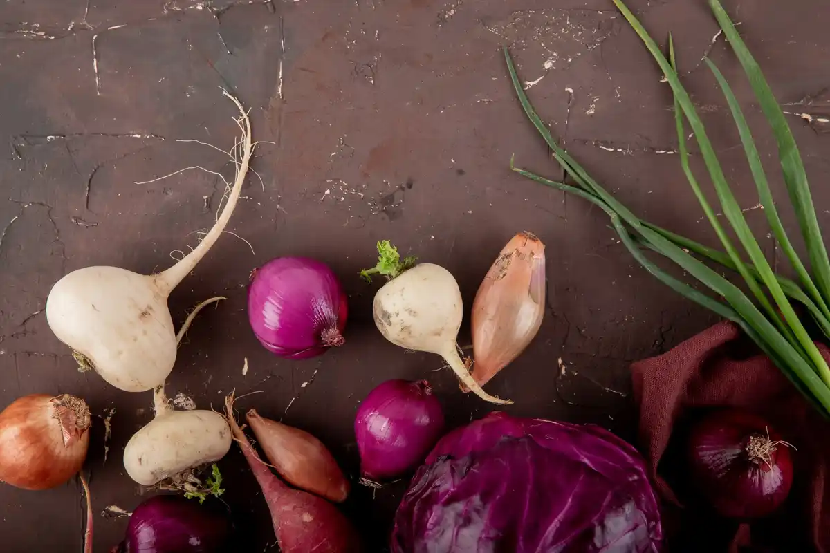 closeup of onion roots and cabbage seedlings together