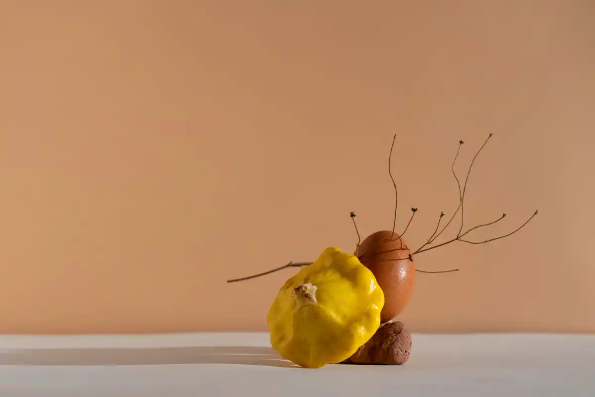 garden lime fertilizer vs eggshells concept