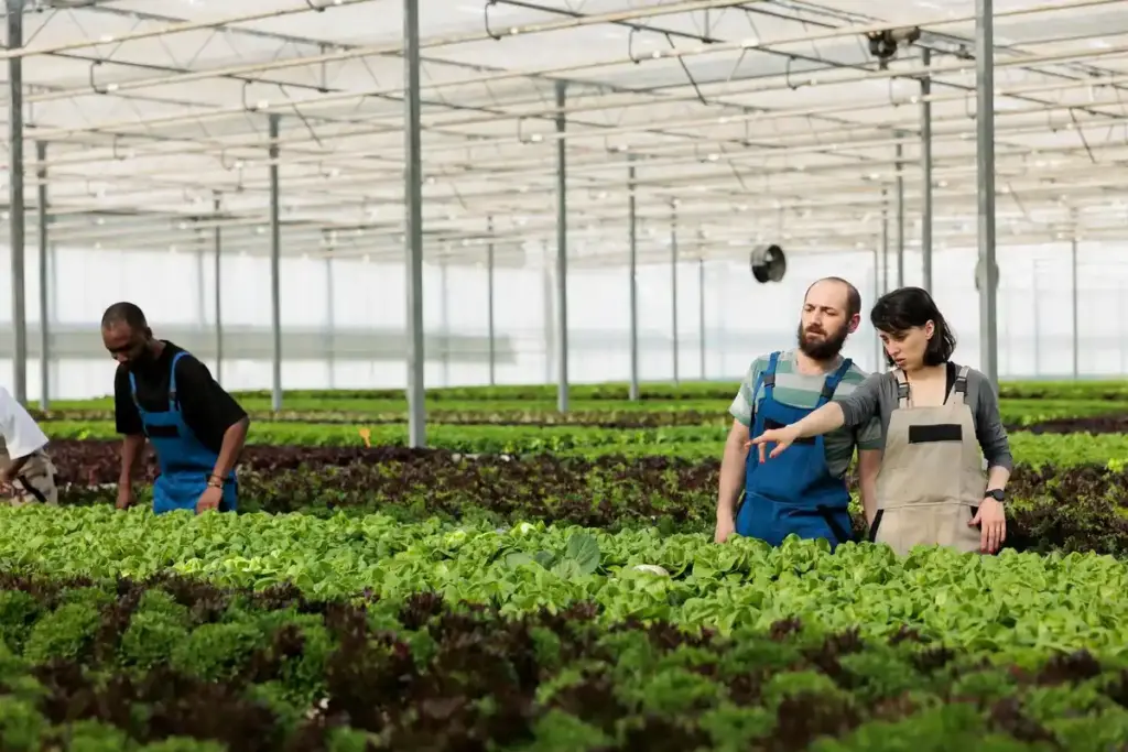organic dutch farmers greenhouse sustainable agriculture