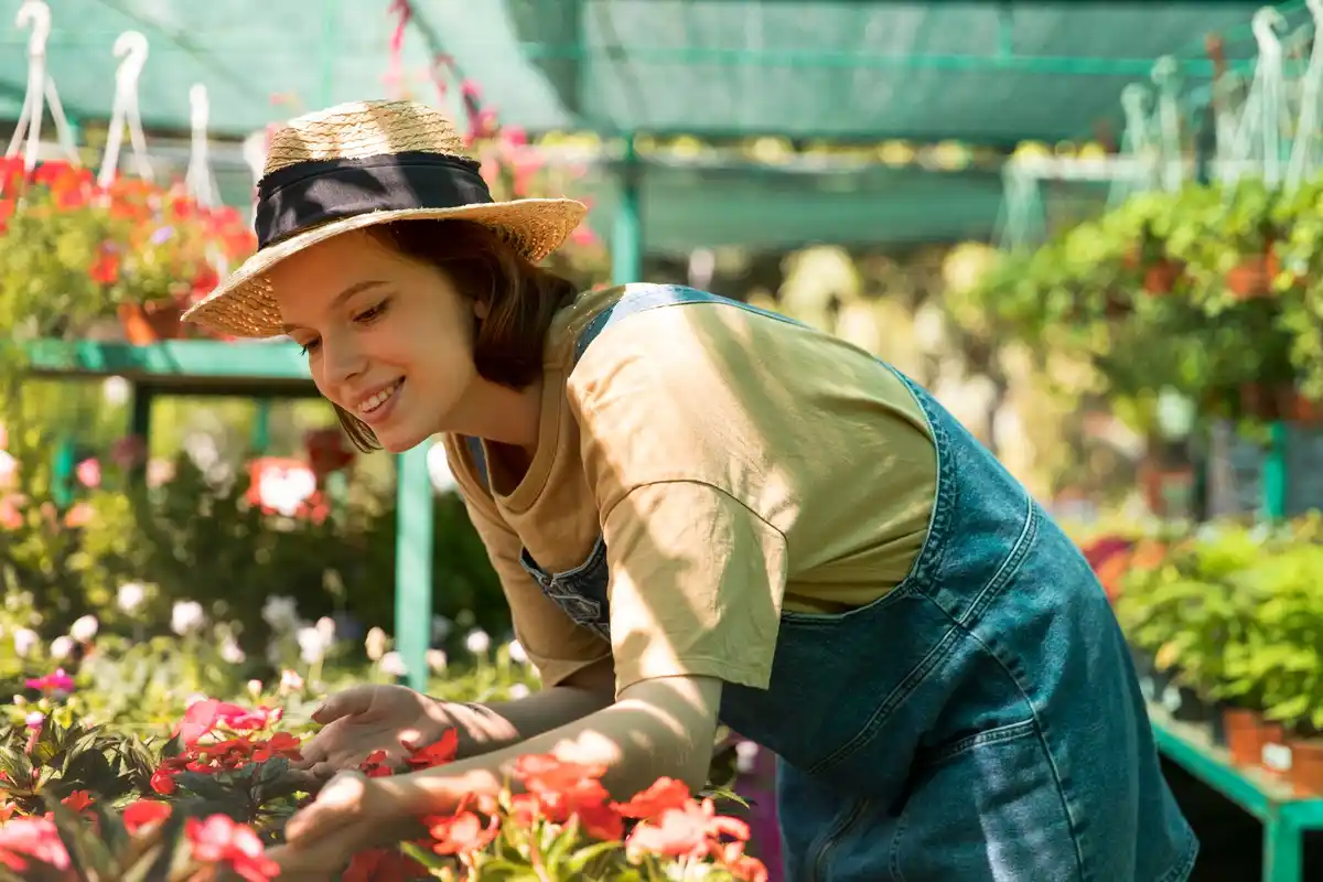 Dutch horticulture permaculture urban garden