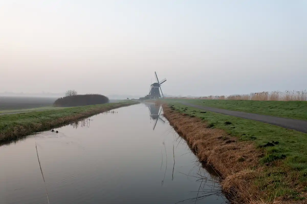 north facing greenhouse netherlands