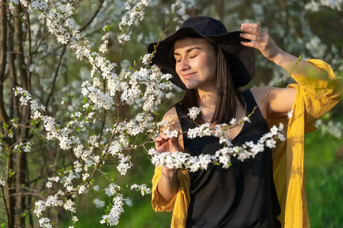 person gently knocking apple tree with broom stick spring pollination