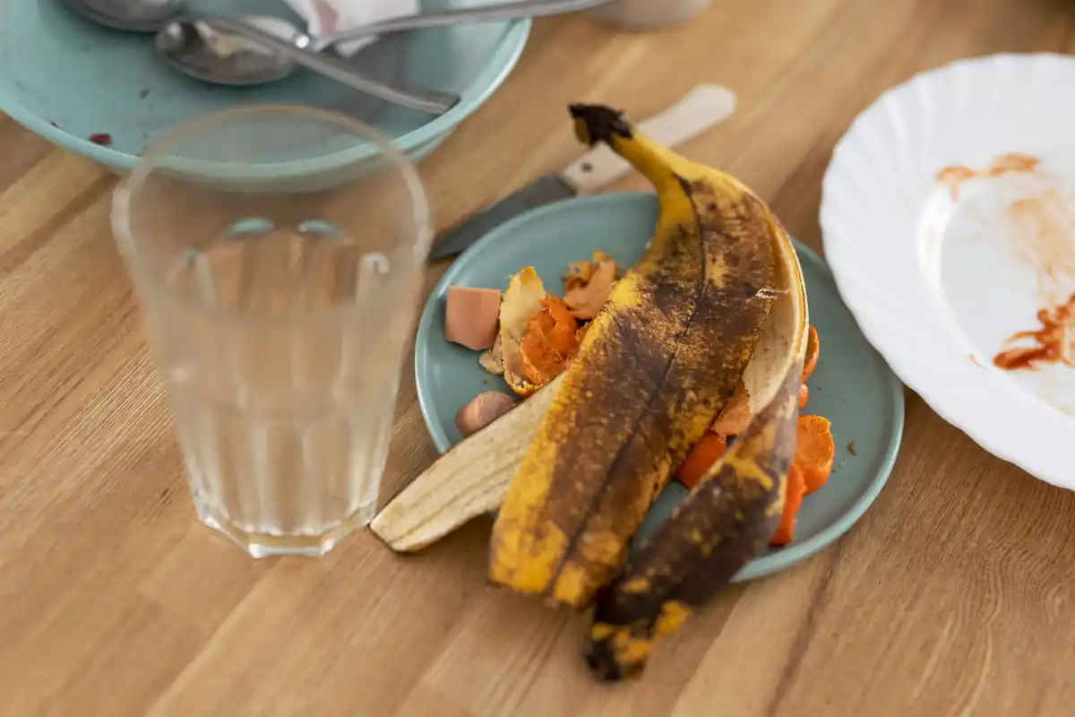 dutch kitchen waste banana peels coffee eggshells vegetable garden