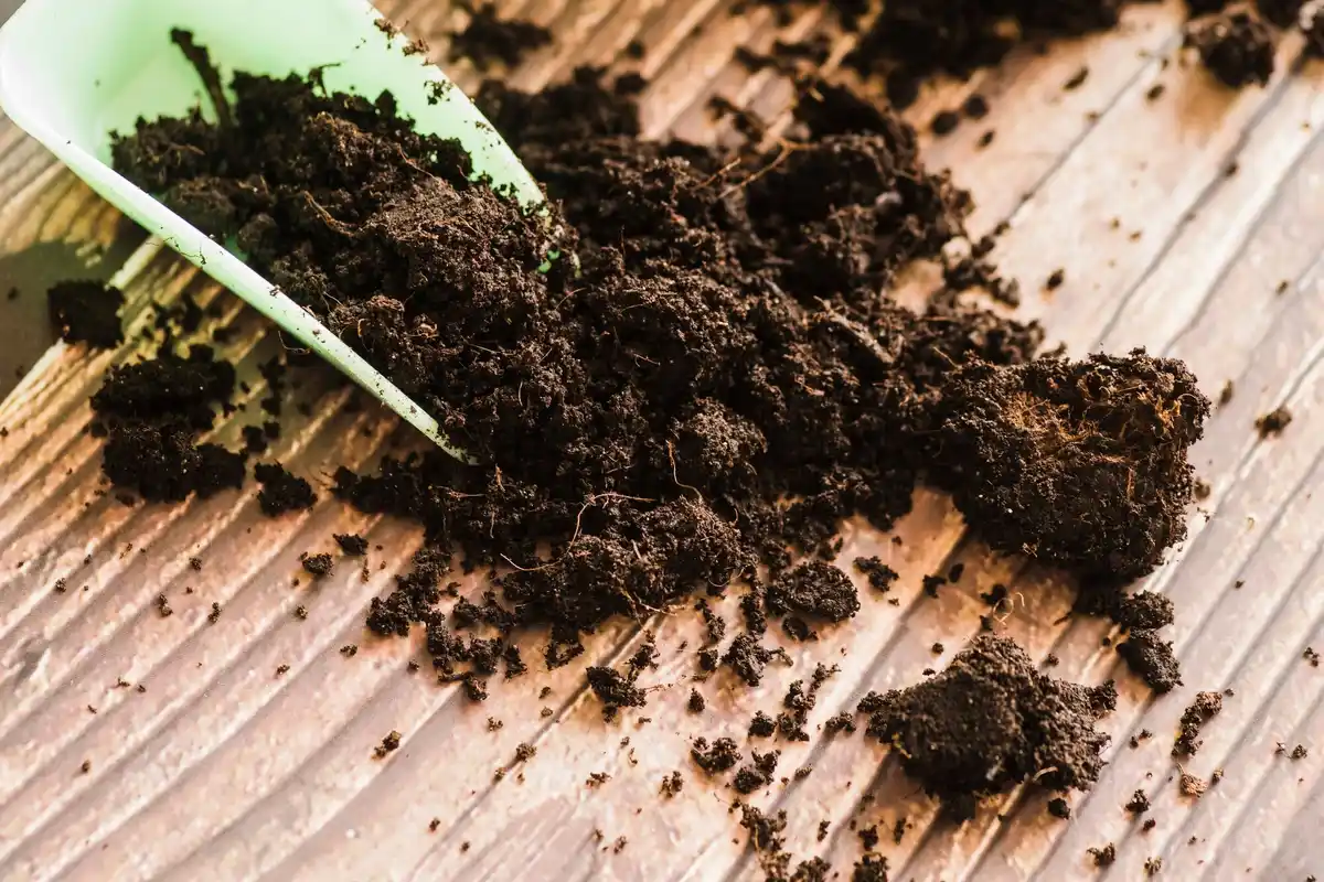 damaged garden soil from chemical fertilizer