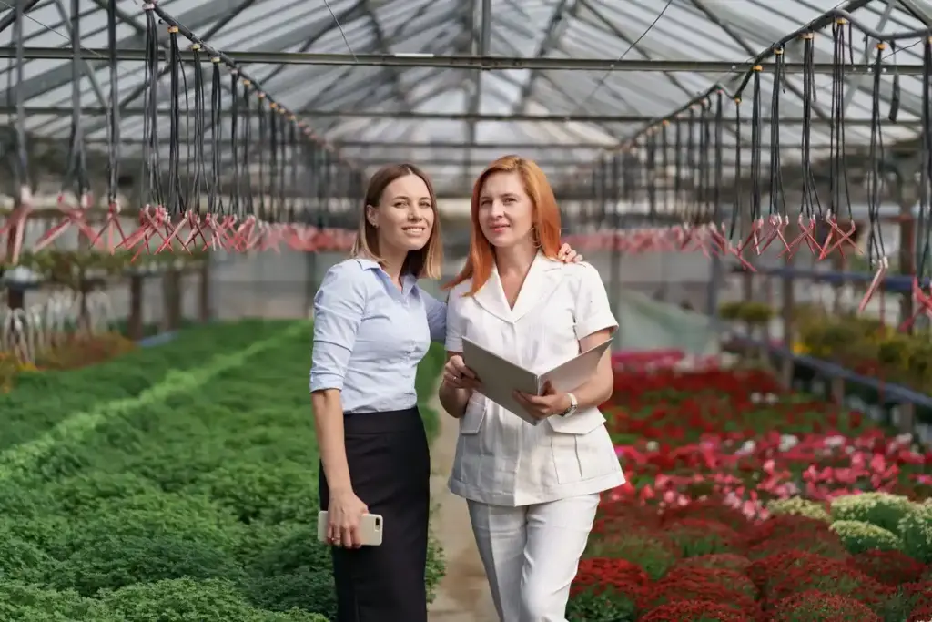 greenhouse comparison cheap expensive Dutch