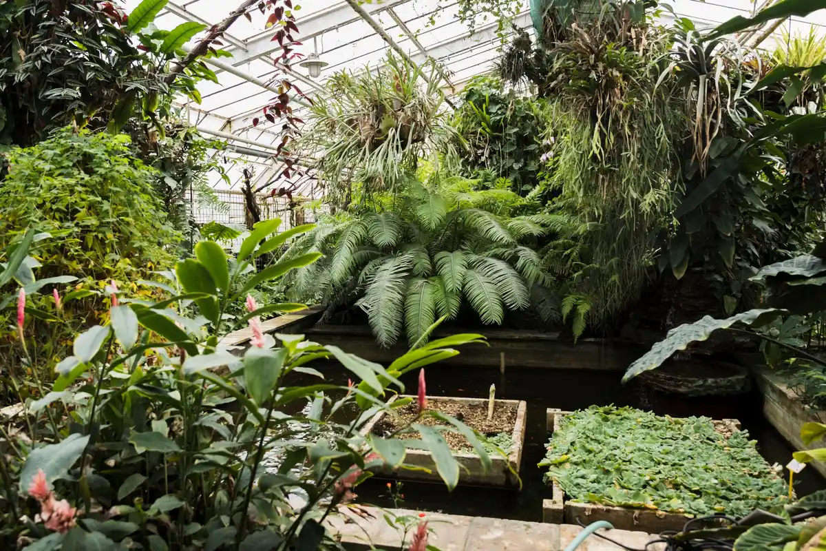 luxury greenhouse with plants Netherlands