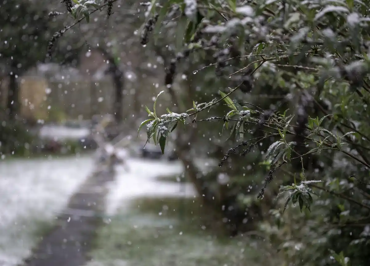glass greenhouse storm dutch winter backyard
