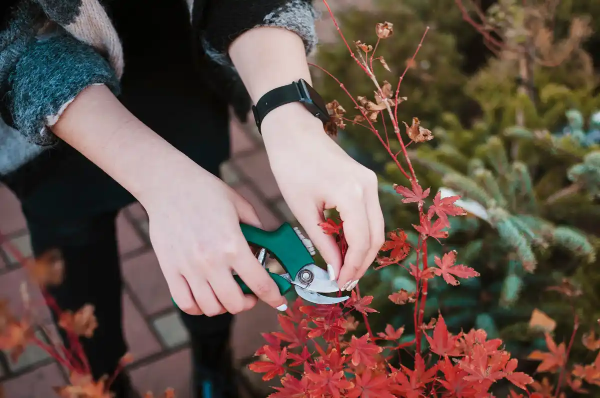 japanese hedge shears eco friendly garden tools