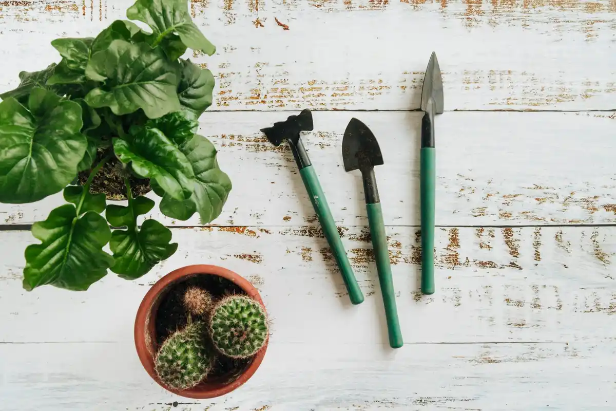 japanese hedge shears eco friendly garden tools