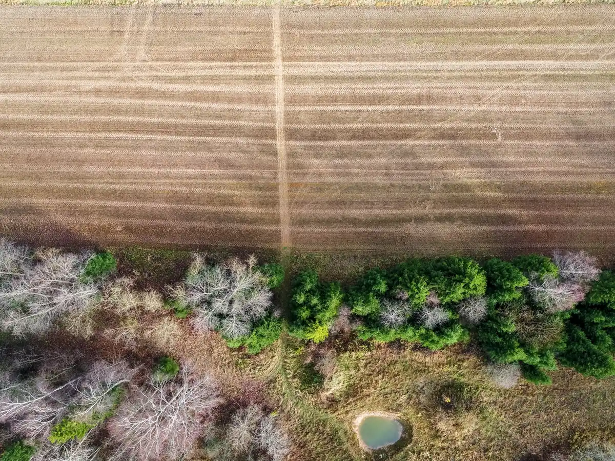 Dutch allotment garden aerial view east west lines