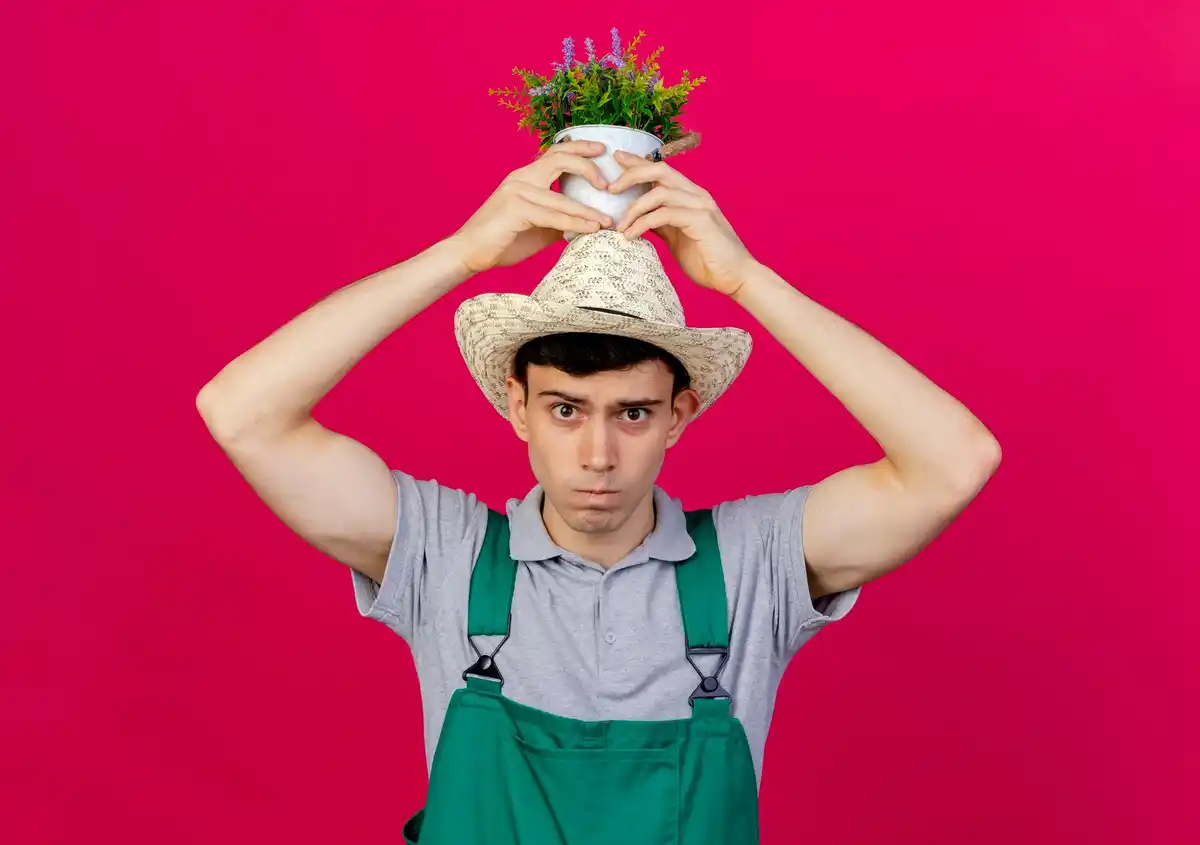 disappointed gardener holding empty seed packets netherlands