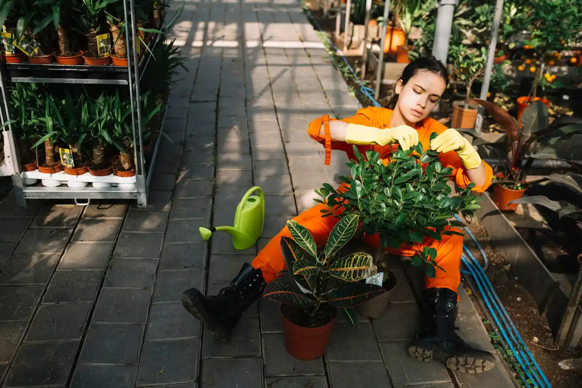 unhealthy vegetable plants Netherlands garden problem