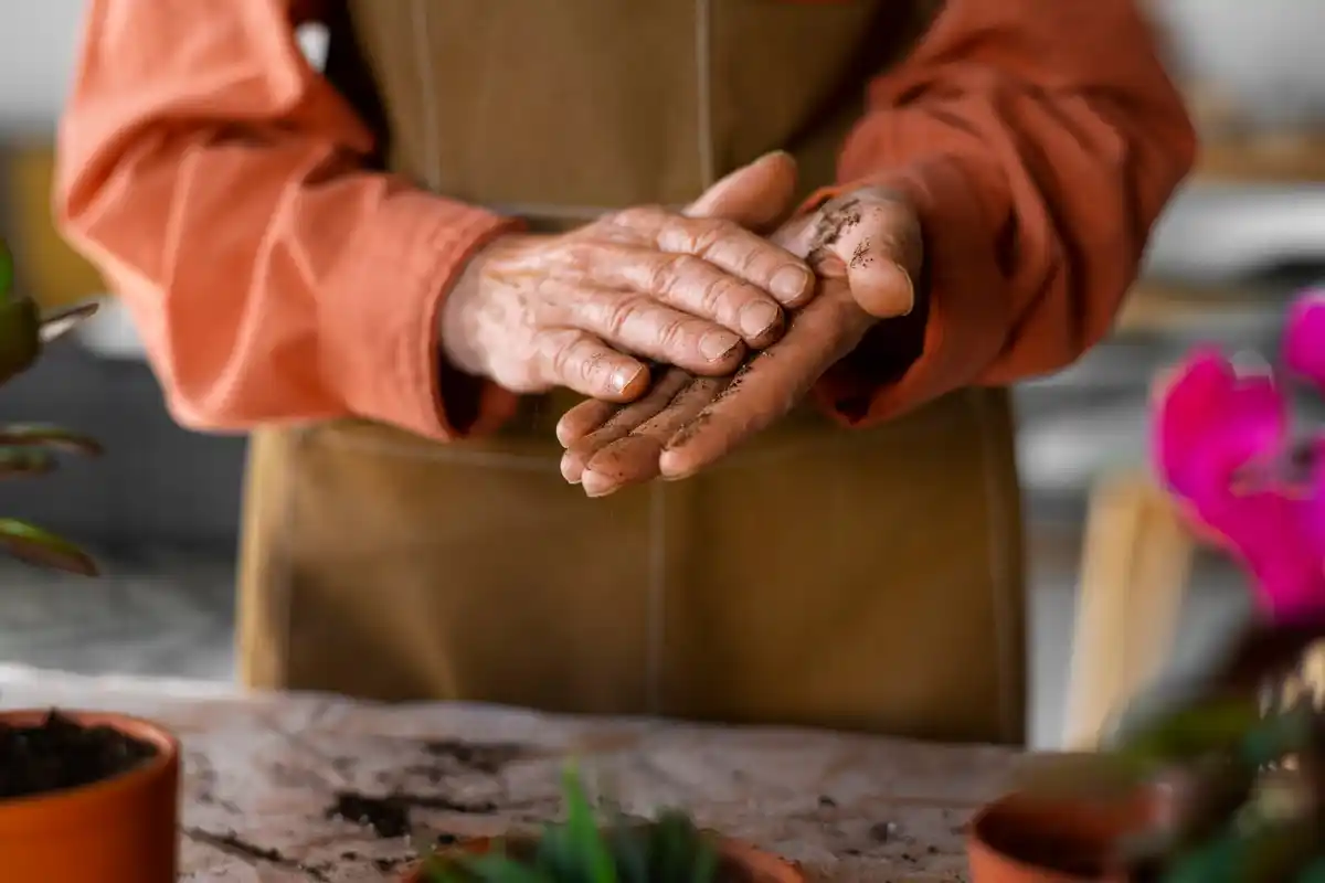 seed sowing elderly hands tool Dutch garden
