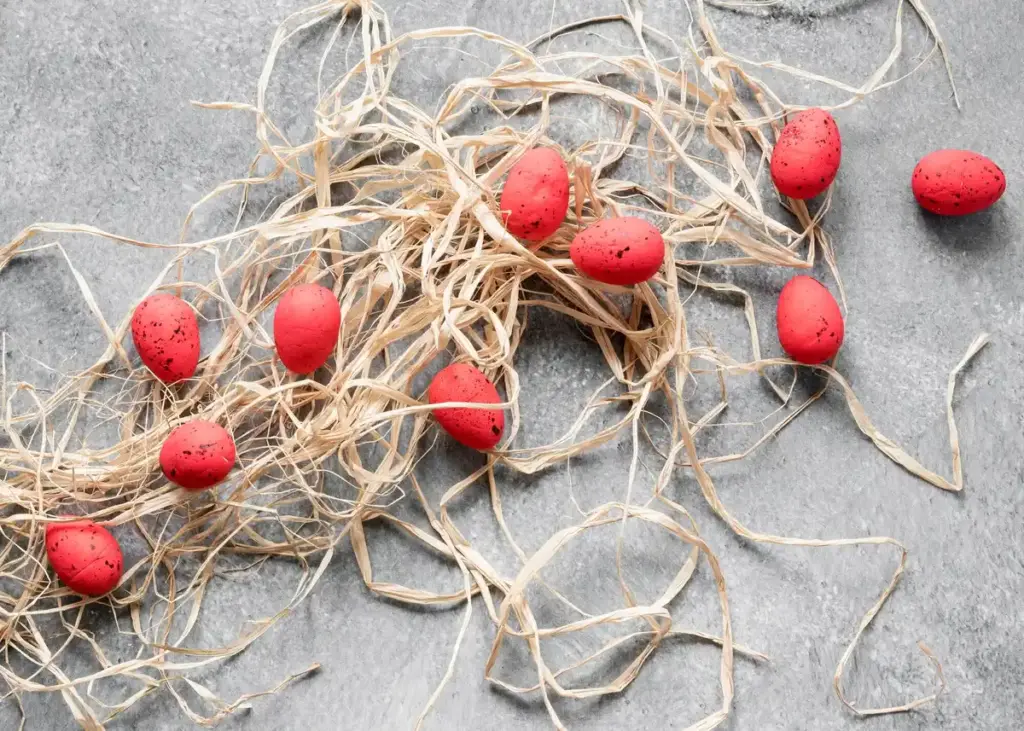 burying eggs under fruit tree roots dutch garden