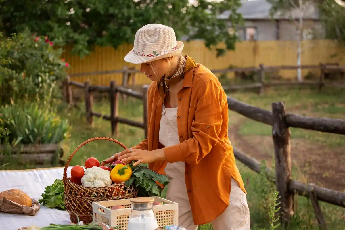 Dutch grandma sprinkling sugar over tomato plants allotment garden