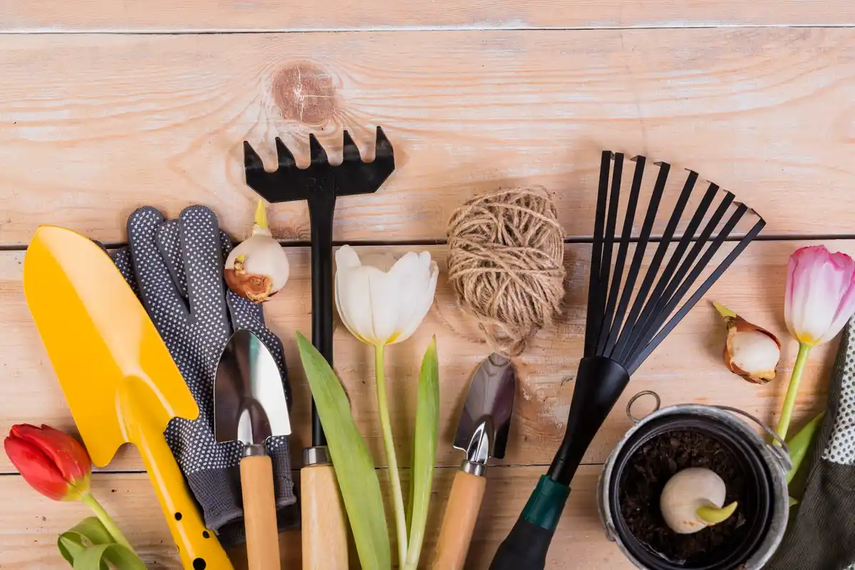 expensive garden tools Netherlands budget