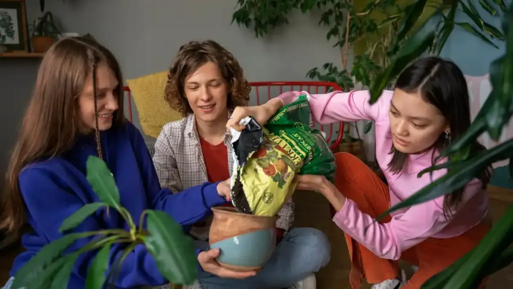 dutch grandmothers online seed swap garden tradition