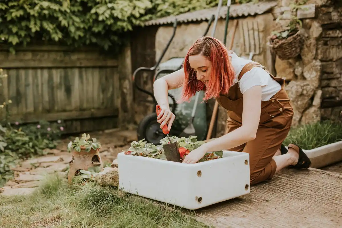 natural composting in Dutch home gardens