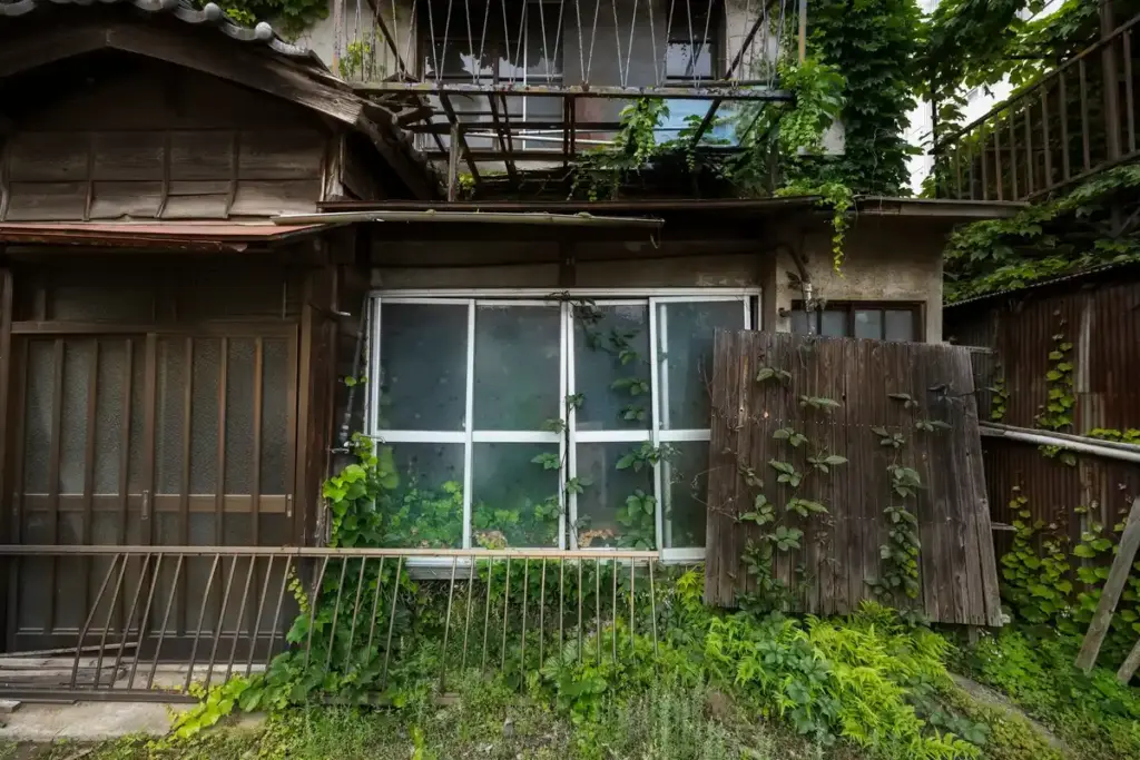 repurposed old windows diy greenhouse garden netherlands