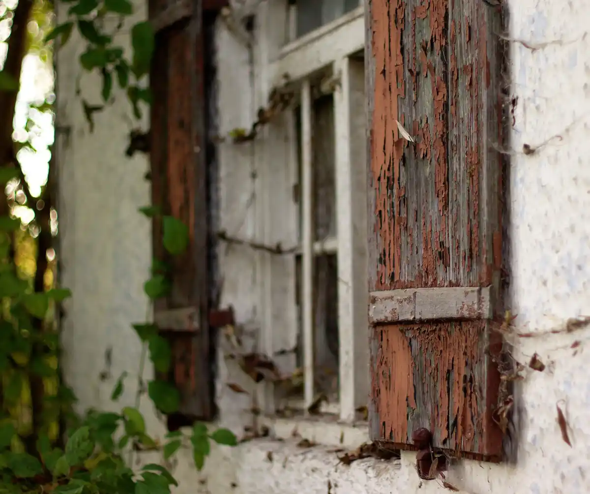 dutch garden diy old windows greenhouse spring