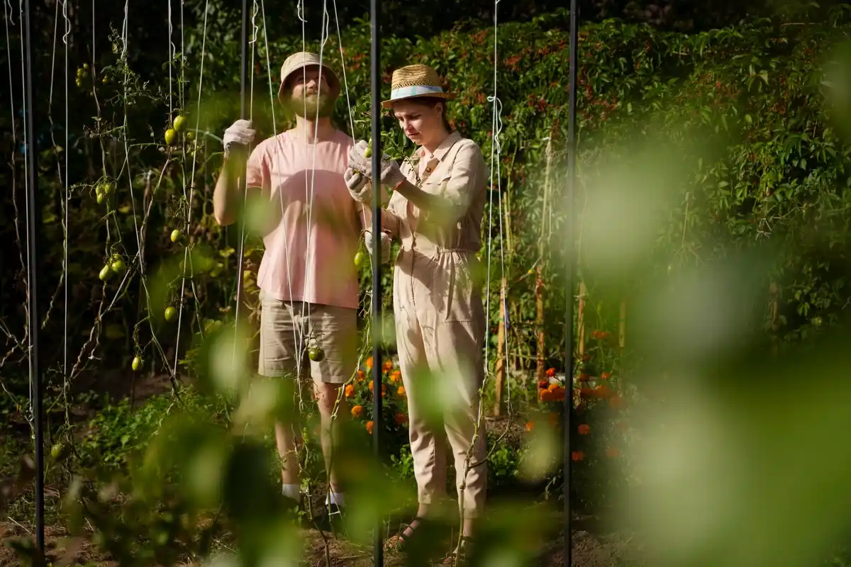 regenerative gardening netherlands