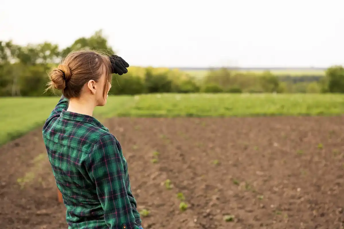 regenerative agriculture netherlands allotment soil