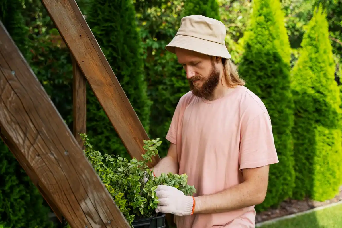 dutch gardener making nettle fertilizer in backyard