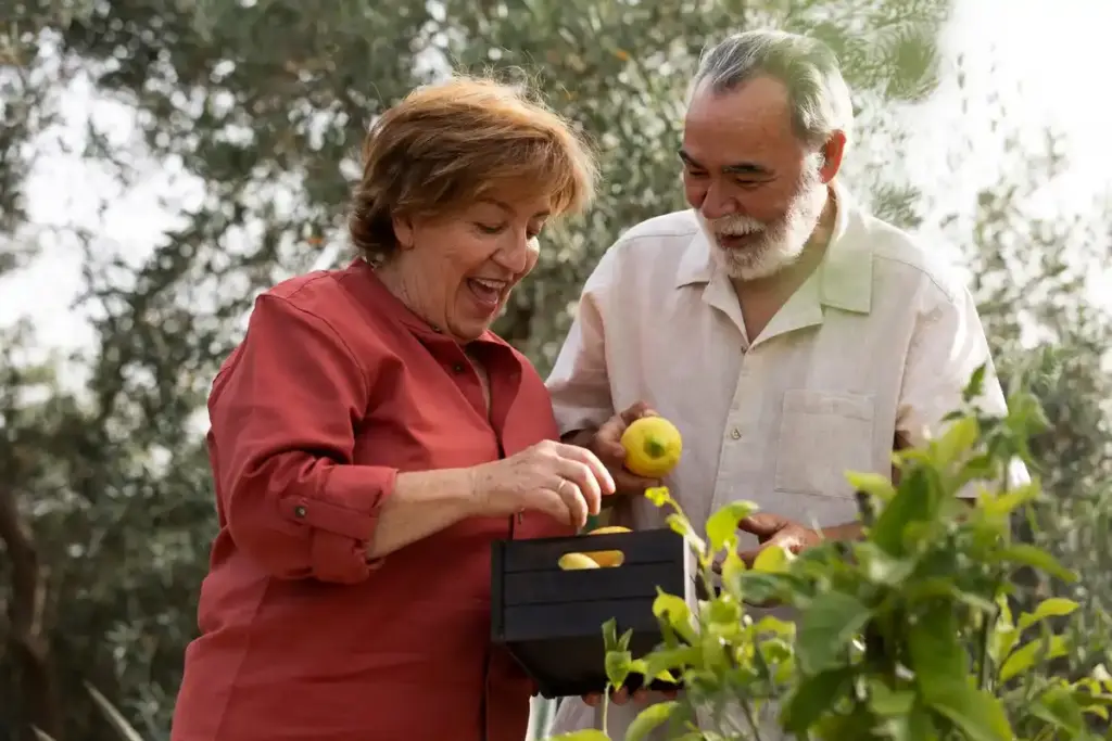 elderly couple planting fruit trees in Dutch garden